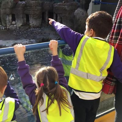 Reception have recently visited the Oceanarium for their under the sea topic